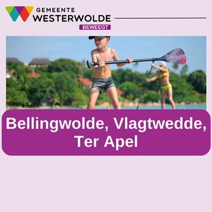 Activiteiten format website 
